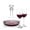 Elliston Decanter & Burlington Wine Set