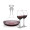 Elliston Decanter & Connoisseur Wine Set