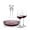 Elliston Decanter & Elderwood Wine Set