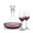 Elliston Decanter & Lethbridge Wine Set
