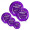 Apollo VividPrint™ Award - Purple