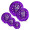 Apollo Award - Purple