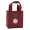 Non Woven Six Bottle Wine Tote