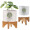 Ceramic Planter Set