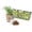 Growpot Eco-Planter Herb 3-Pack