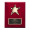Star Plaque