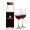 Aviston Carafe & Connoisseur Wine