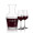 Summit Carafe & Connoisseur Wine Set
