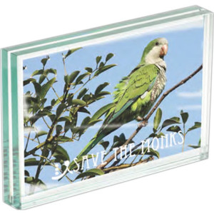 Atrium Glass Medium Desk Frame