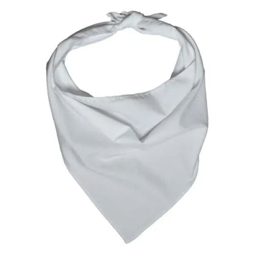 ROVERREADY Pet Bandana
