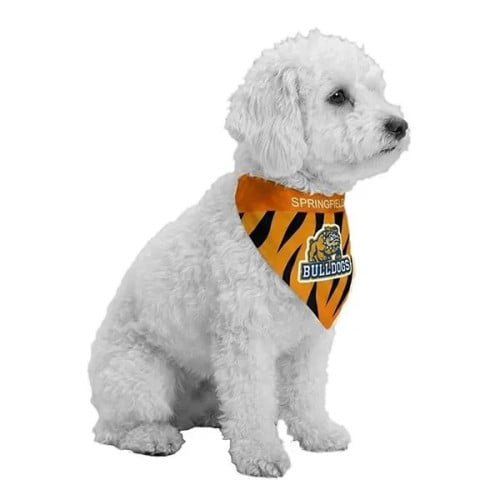 ROVERREADY Pet Bandana