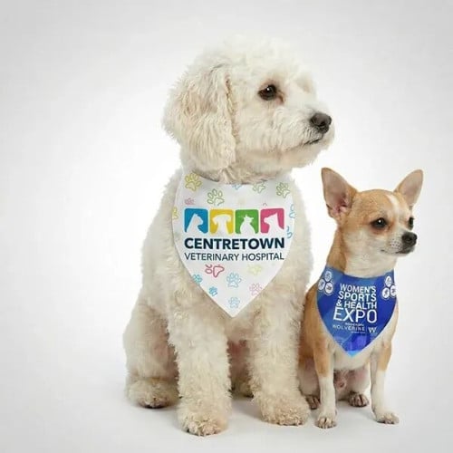 ROVERREADY Pet Bandana