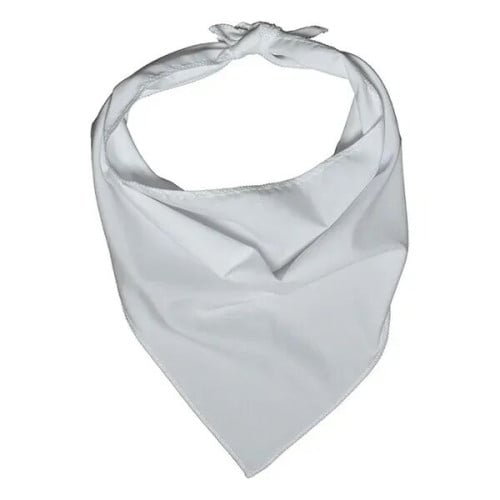 ROVERREADY Pet Bandana