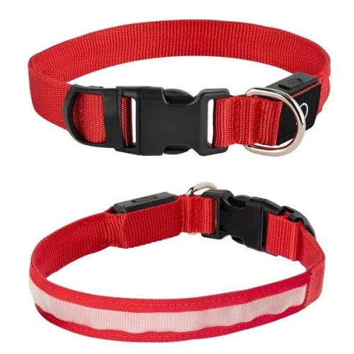 Light Up Rechargable Pet Collar - Medium