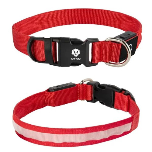 Light Up Rechargable Pet Collar - Medium