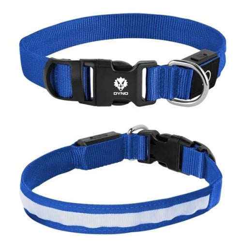 Light Up Rechargable Pet Collar - Medium