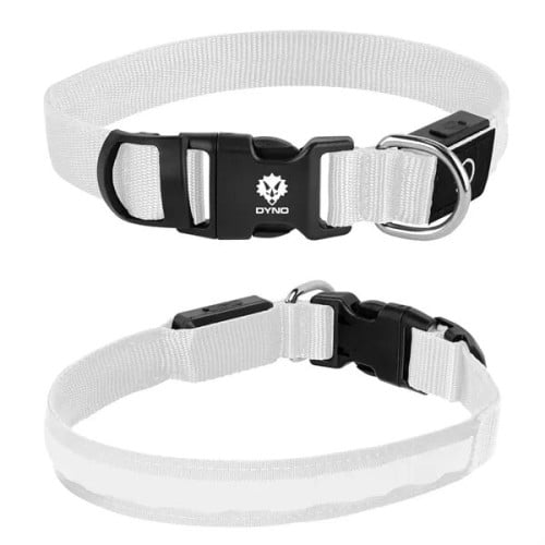 Light Up Rechargable Pet Collar - Medium