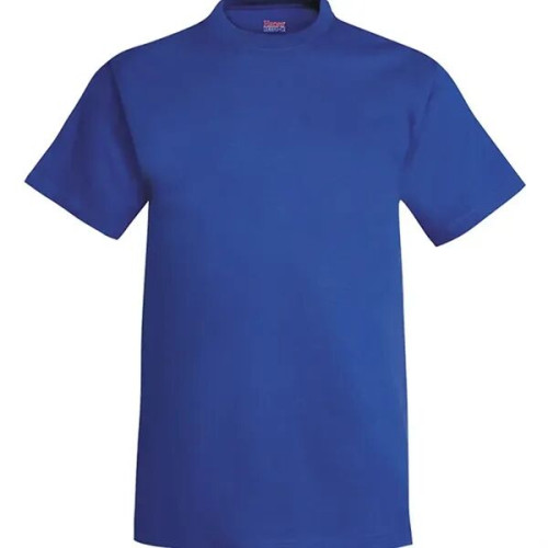 Hanes Beefy-T T-Shirt