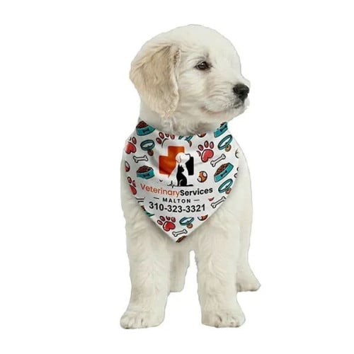 ROVERREADY Pet Bandana (OVERSEAS)