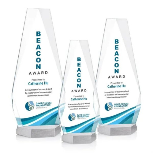 Paulson VividPrint™ Award