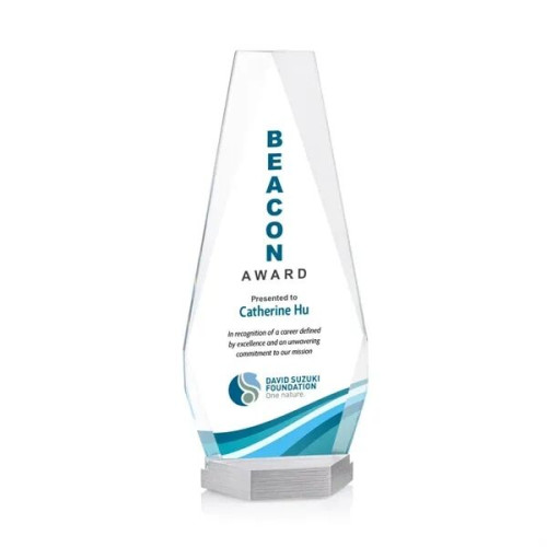 Paulson VividPrint™ Award