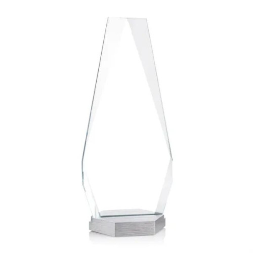 Paulson VividPrint™ Award