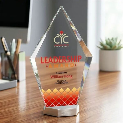 Ellicott VividPrint™ Award