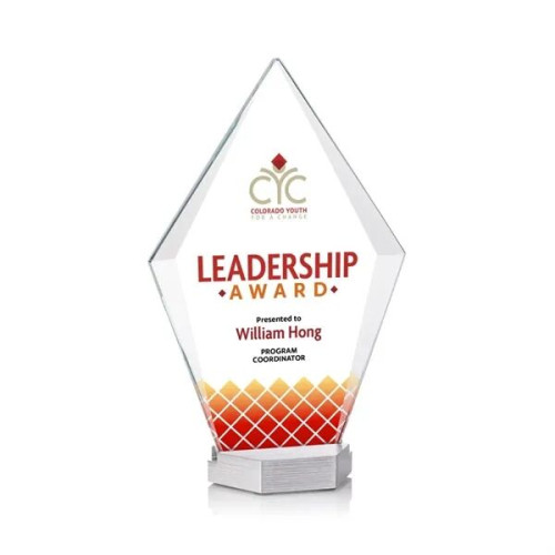 Ellicott VividPrint™ Award