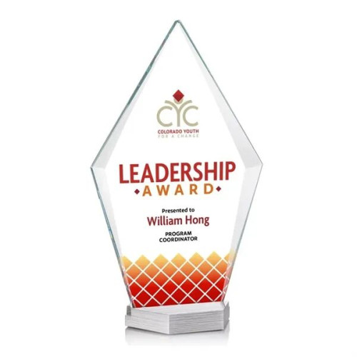 Ellicott VividPrint™ Award