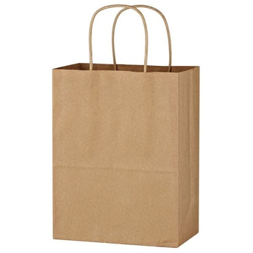 Kraft Paper Brown Shopping Bag - 8" x 10-1/4"