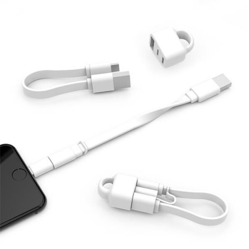 Loop+ With MFi Adapter TwinTip