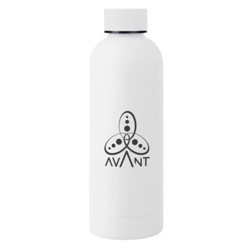 17 Oz. Blair Stainless Steel Bottle