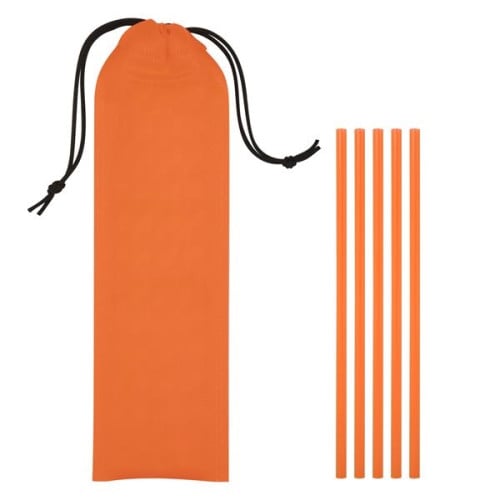 5-Pack On The Go Straws With Pouch