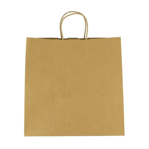 Kraft Paper Brown Shopping Bag - 10" x 10"