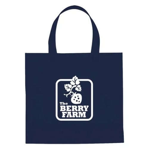 Non-Woven Mini Brochure Tote Bag