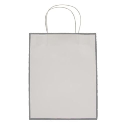 Laminated Paper Gift Bag