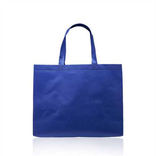 Delhi Jumbo Sized Tote Bags