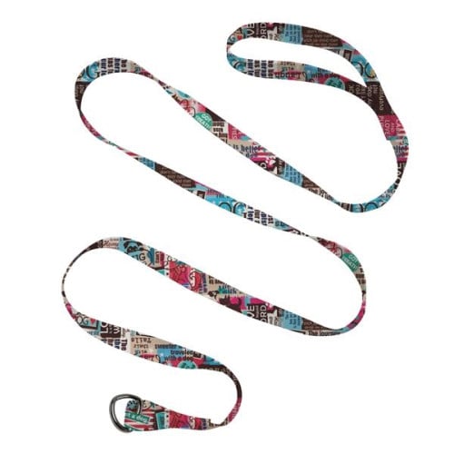 Pet Slip Leash