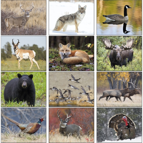 Custom Executive Desk Tent Calendar