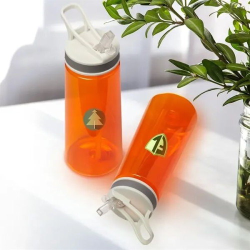 22 oz. Sports Water Bottle With Straw