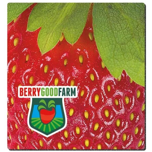 Good Value™ 1/8" Fabric Surface Mouse Pad (7-1/2" x 8")