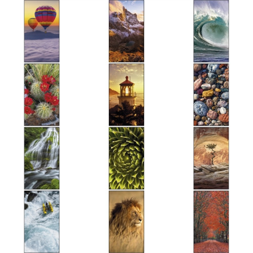 Triumph® Calendars Motivations Desk Pad