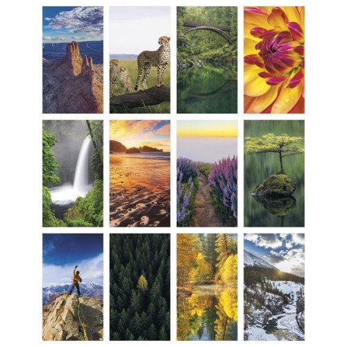 Triumph® Calendars Motivations Desk Pad