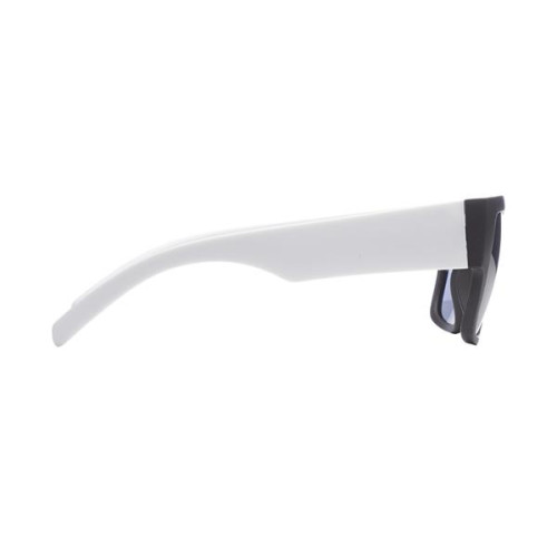 Sonoran Big Frame Sunglasses