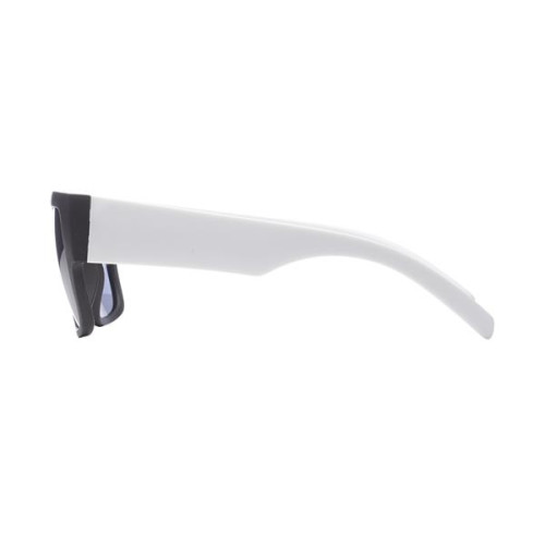 Sonoran Big Frame Sunglasses