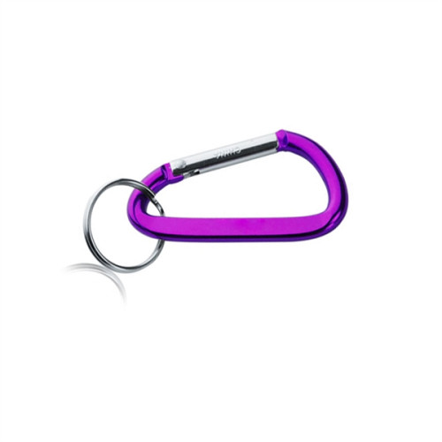 Metal Carabiner Keychains