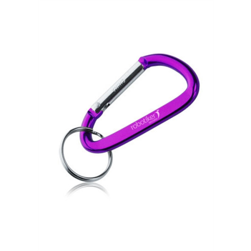 Metal Carabiner Keychains