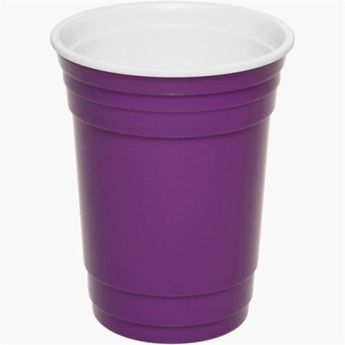 16 oz. Double Wall Plastic Party Cup