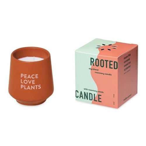 Modern Sprout® Rooted Candle