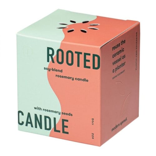 Modern Sprout® Rooted Candle